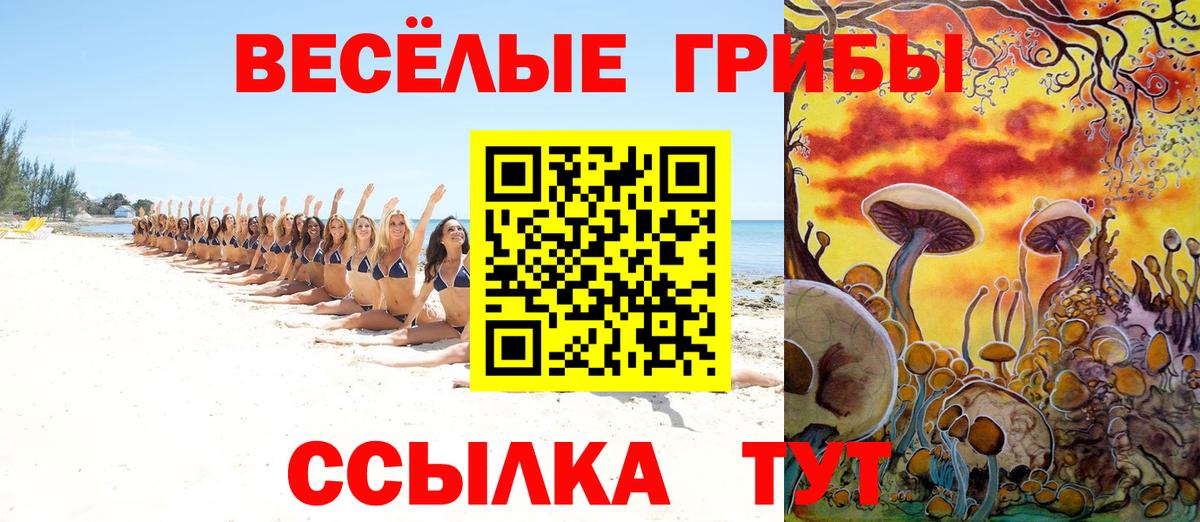 Псилоцибиновые грибы мицелий  Вход с VPN  Бузулук 