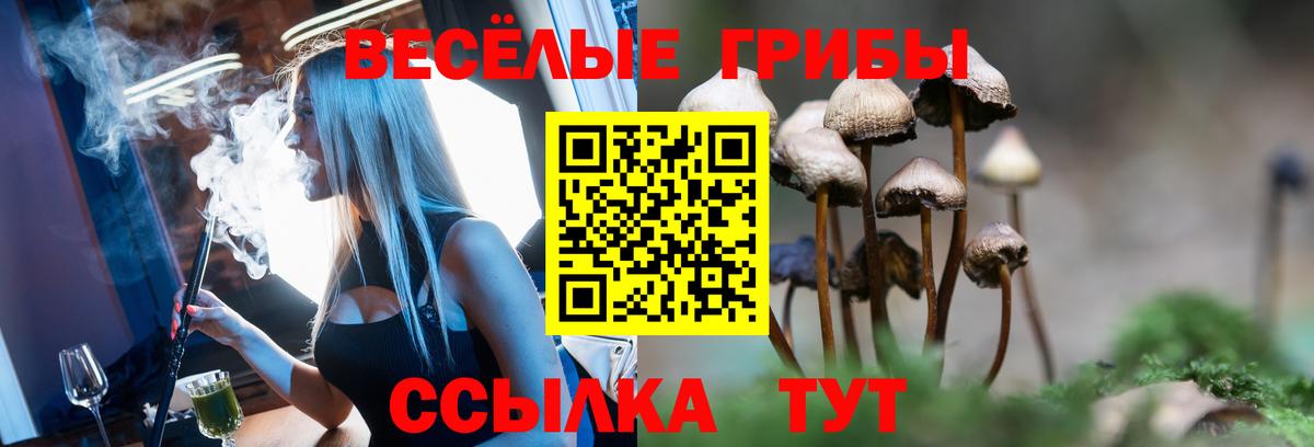 Псилоцибиновые грибы GOLDEN TEACHER Бузулук